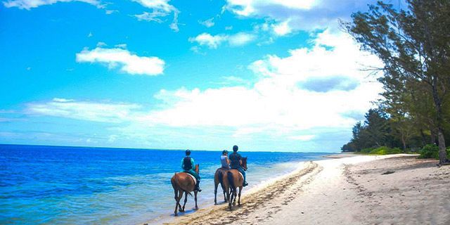 Romantic horseback riding swimming riambel beach lunch (3)